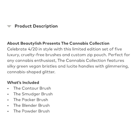 Beautylish 420 Brush Collection 5 Brushes with Neon Green Zipper Case NWT - Picture 5 of 15